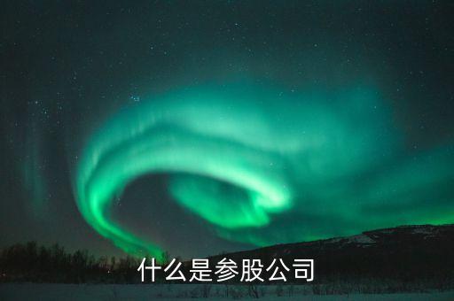 什么是參股企業(yè)，什么叫參股公司