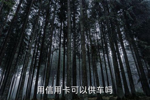 供車(chē)用什么信用卡，用信用卡可以供車(chē)嗎