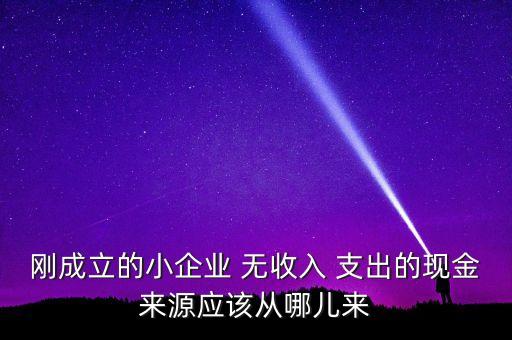 小企業(yè)主為什么沒現(xiàn)金，剛成立的小企業(yè) 無(wú)收入 支出的現(xiàn)金來(lái)源應(yīng)該從哪兒來(lái)