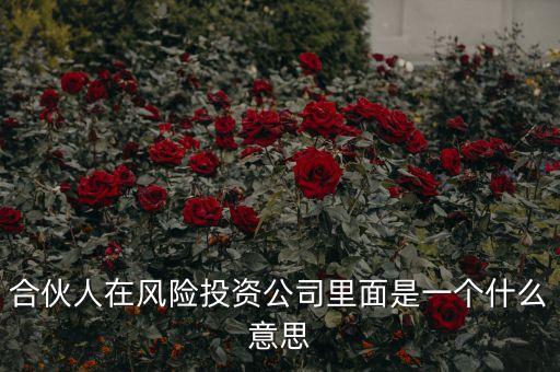 vc合伙人是什么，風(fēng)險投資公司中的合伙人和經(jīng)理人都是什么意思
