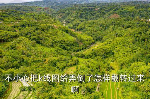 股票k線圖翻轉(zhuǎn)按什么鍵，電腦上股票k線圖怎么才能往前翻