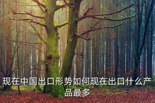現(xiàn)在中國出口形勢如何現(xiàn)在出口什么產(chǎn)品最多