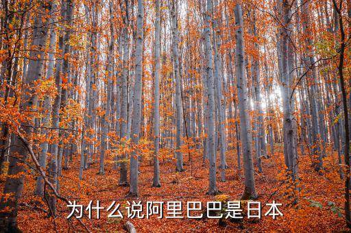 阿里巴巴的老板為什么是日本人，聽說阿里巴巴是日本鬼子控股的馬云只是鬼子影子是真的嗎  搜