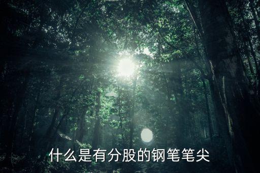 鋼筆頭分股是什么樣的，什么是有分股的鋼筆筆尖