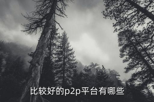 什么p2p平臺比較靠譜，請問國內(nèi)P2P平臺哪家比較安全可靠點(diǎn)想了解下