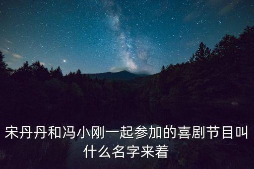 宋丹丹馮小剛的評委節(jié)目是什么，歡樂喜劇人評委都有誰