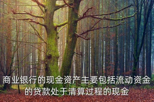 商業(yè)銀行的現(xiàn)金資產主要包括流動資金的貸款處于清算過程的現(xiàn)金
