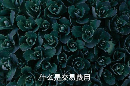 什么是交易費用，什么是交易費用