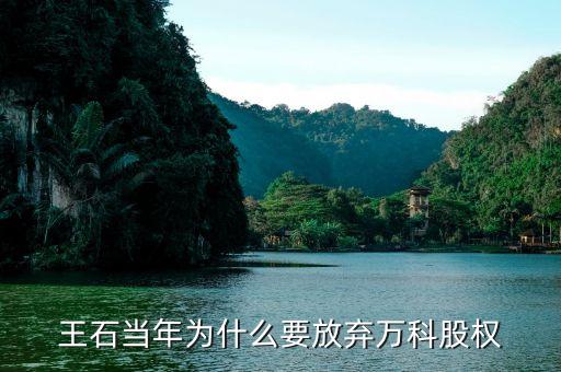 王石當年為什么放棄股權，王石當時是怎么放棄萬科的股權的