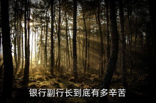 銀行副行長做些什么，銀行從行長以下還有哪些重要職位