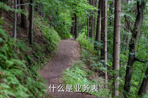 什么叫出表業(yè)務(wù)，什么是業(yè)務(wù)表