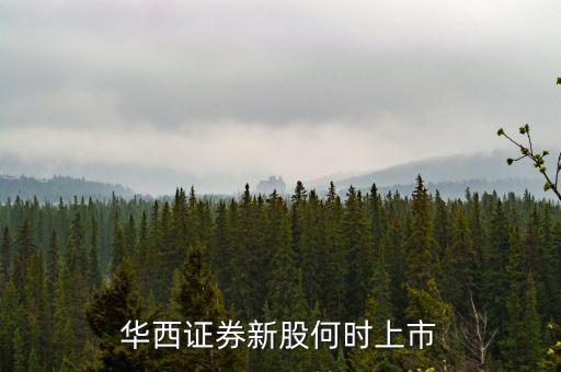 華西股份是什么時(shí)間首發(fā)的，什么叫首發(fā)原始股東