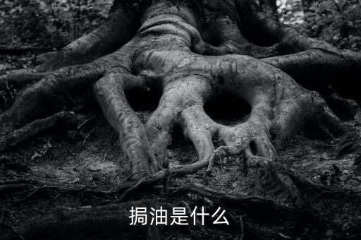 粵油是什么，輕質油在炒原油里的什么油比如什么大連油粵油