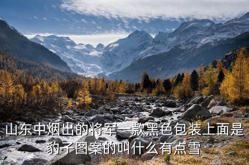 王中軍抽什么雪茄，爸爸回來了王中磊抽的那是什么煙