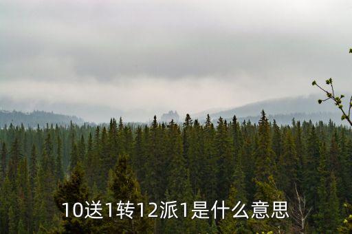 10轉(zhuǎn)12派1元是什么意思，10送1轉(zhuǎn)12派1是什么意思
