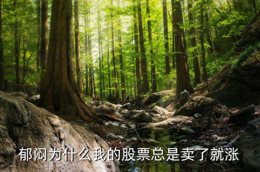 為什么股票一賣就漲，郁悶為什么我的股票總是賣了就漲