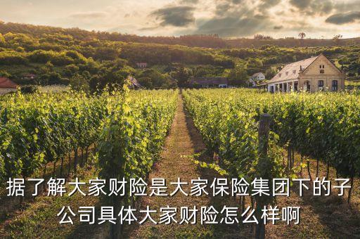 大財子公司全稱是什么，大財子什么意思哦