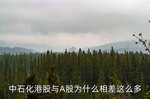 股票中燃油與a股有什么不同，中石油有H股和A股之間有什么關(guān)系總市值怎么算