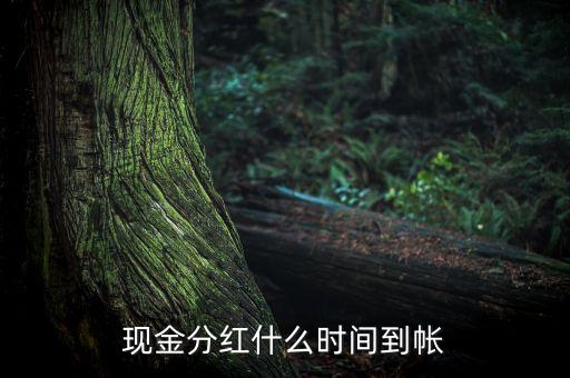 現(xiàn)金分紅什么時間到帳