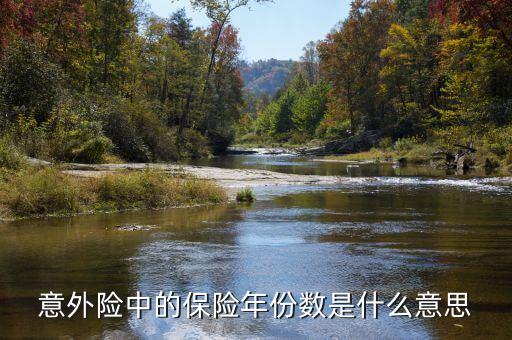 保險(xiǎn)數(shù)目指什么，意外險(xiǎn)中的保險(xiǎn)年份數(shù)是什么意思