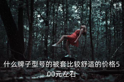 被套應(yīng)該買什么價(jià)位的，被套一般超市賣多少錢