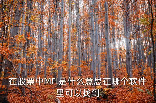 mfl什么意思金融，在股票中MFl是什么意思在哪個軟件里可以找到