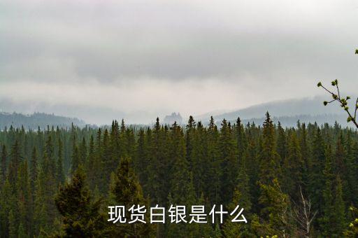 炒白銀是什么，現(xiàn)貨白銀是什么