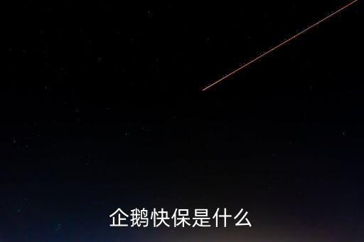 快保保險是什么公司，企鵝快保是什么