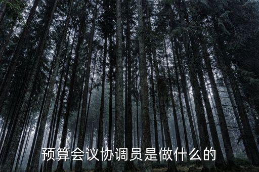 什么是協(xié)調預算，預算會議協(xié)調員是做什么的