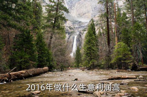 搞什么行業(yè)賺錢2016年，2016年做什么生意賺錢