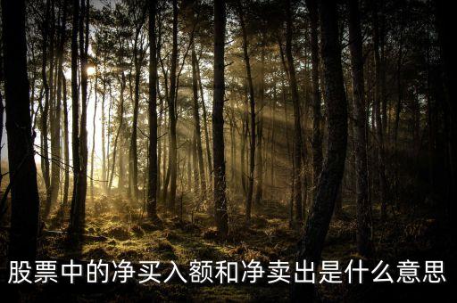 凈買入凈賣出什么意思，股票中的凈買入額和凈賣出是什么意思