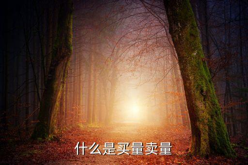 期貨買量和賣量是什么意思，什么是賣量和買量