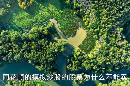 財達同花順股票為什么不能買賣，同花順的模擬炒股的股票為什么不能賣