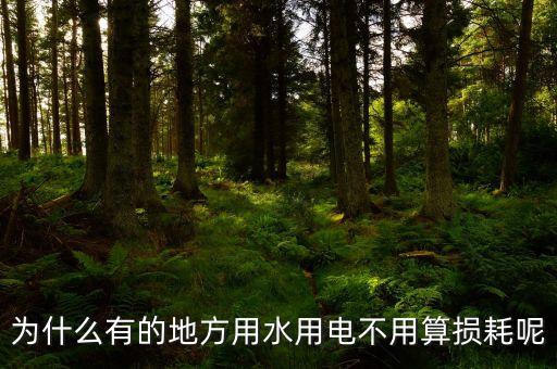 中國(guó)城市用電為什么不存在損耗收費(fèi)，為什么有的地方用水用電不用算損耗呢