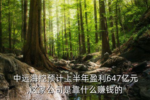  中遠(yuǎn)海控預(yù)計(jì)上半年盈利647億元,這家公司是靠什么賺錢的