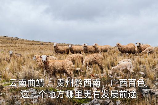 云南曲靖、 貴州黔西南、廣西百色,這三個地方哪里更有發(fā)展前途