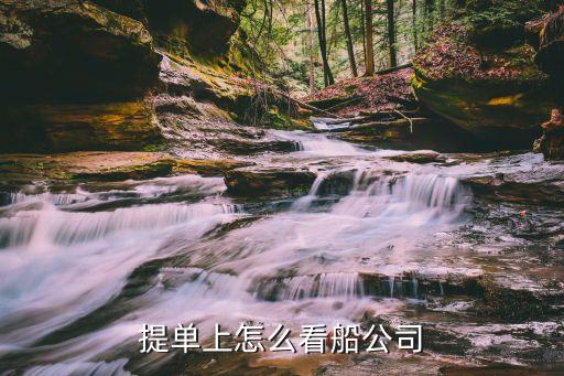 中遠(yuǎn)集裝箱運輸有限公司應(yīng)收賬款,海南中遠(yuǎn)海運集裝箱運輸有限公司
