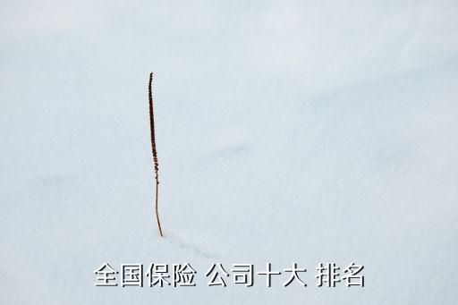 全國保險 公司十大 排名