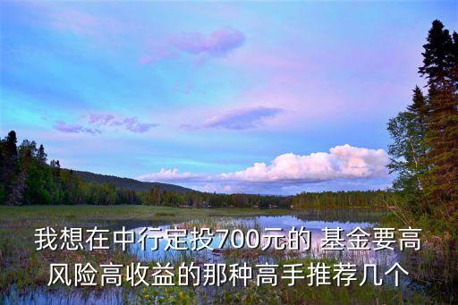 我想在中行定投700元的 基金要高風(fēng)險(xiǎn)高收益的那種高手推薦幾個