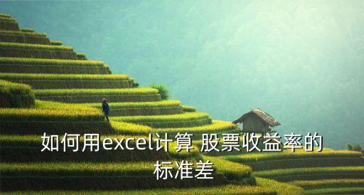 如何用excel計算 股票收益率的 標準差