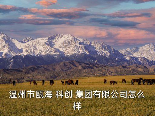 溫州市甌海 科創(chuàng) 集團有限公司怎么樣