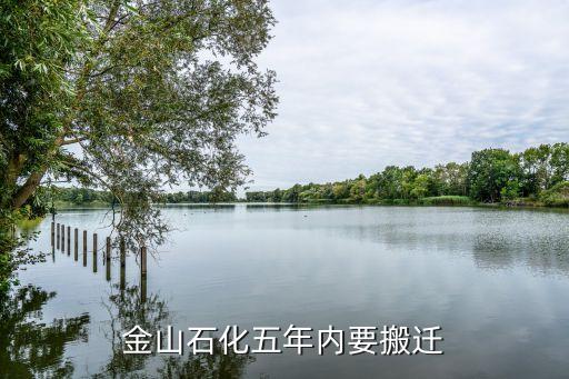 上?；瘜W(xué)工業(yè)區(qū)總體規(guī)劃,洪江市工業(yè)區(qū)總體規(guī)劃