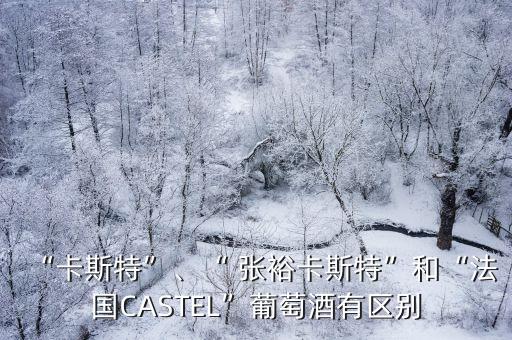 “卡斯特”、“ 張?jiān)？ㄋ固亍焙汀胺▏鳦ASTEL”葡萄酒有區(qū)別