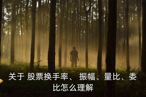 關(guān)于 股票換手率、 振幅、量比、委比怎么理解