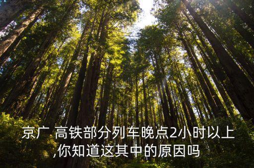  京廣 高鐵部分列車晚點2小時以上,你知道這其中的原因嗎