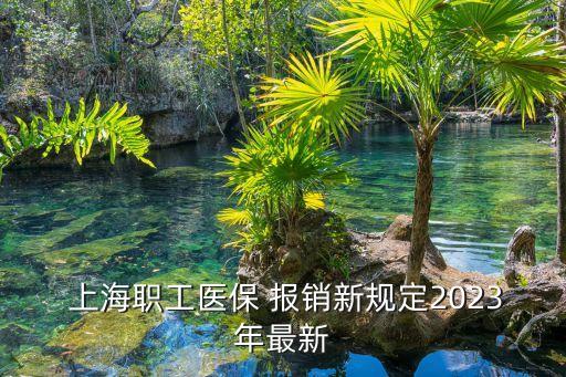 上海醫(yī)療保險報(bào)銷范圍,醫(yī)療保險報(bào)銷范圍和標(biāo)準(zhǔn)