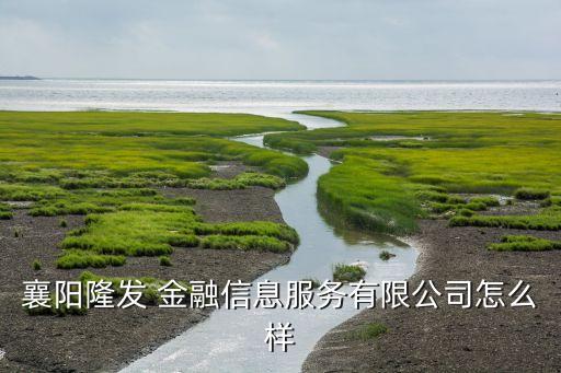 襄陽隆發(fā) 金融信息服務有限公司怎么樣