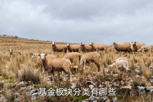  基金板塊分類(lèi)有哪些