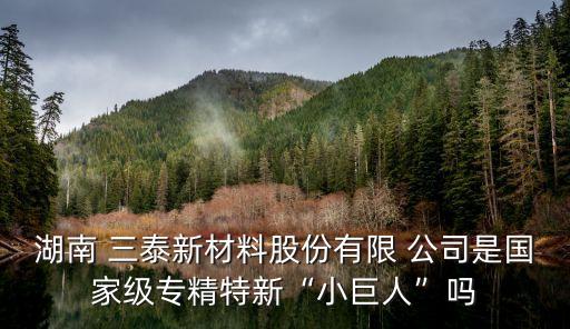湖南 三泰新材料股份有限 公司是國家級(jí)專精特新“小巨人”嗎