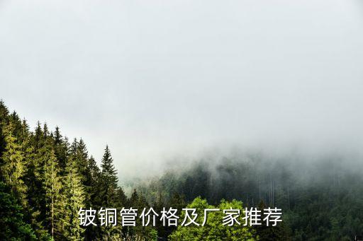 鈹銅管價(jià)格及廠(chǎng)家推薦